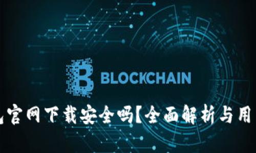 TP钱包官网下载安全吗？全面解析与用户指南