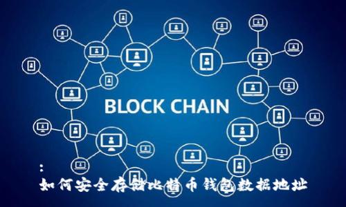 :
如何安全存储比特币钱包数据地址