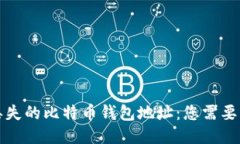 如何找回丢失的比特币钱包地址：您需要知道的