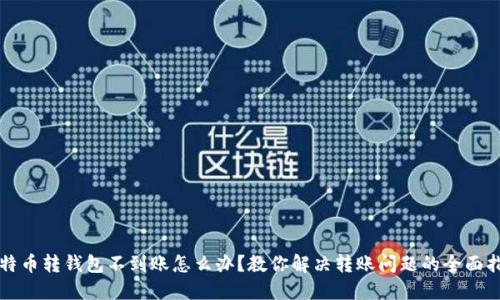 比特币转钱包不到账怎么办？教你解决转账问题的全面指南