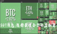 全面了解USDT钱包：选择最适合你的虚拟货币存储