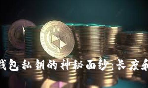 : 揭开比特币钱包私钥的神秘面纱：长度和安全性的探讨