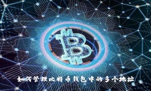 如何管理比特币钱包中的多个地址