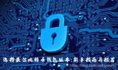 选择最佳比特币钱包版本：新手指南与推荐