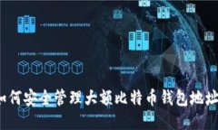 如何安全管理大额比特币钱包地址？