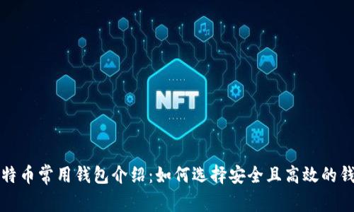比特币常用钱包介绍：如何选择安全且高效的钱包