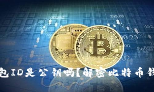 比特币钱包ID是公钥吗？解密比特币钱包的秘密