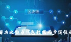 如何解决比特币钱包数据同步缓慢的问题