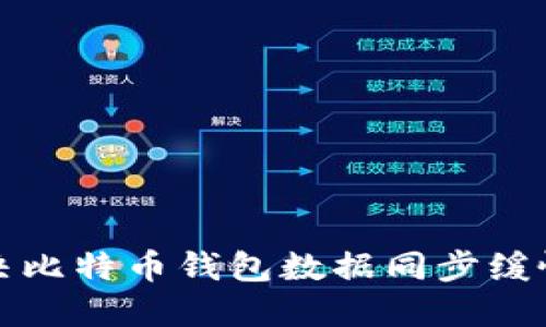 如何解决比特币钱包数据同步缓慢的问题