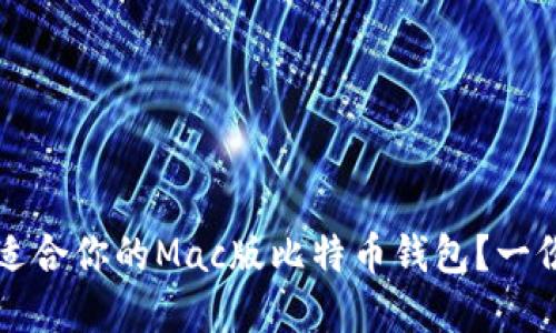 如何选择适合你的Mac版比特币钱包？一份详细指南