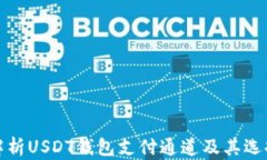 全面解析USDT钱包支付通道及其选择策略
