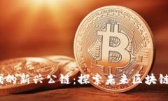 Web3时代的新兴公链：探索未来区块链的可能性