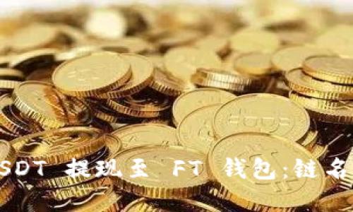  如何将 USDT 提现至 FT 钱包：链名称选择指南