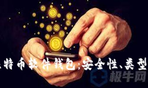 深入了解比特币软件钱包：安全性、类型与使用指南