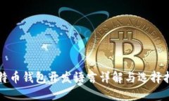 比特币钱包开发语言详解与选择指南