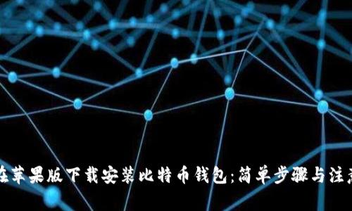 如何在苹果版下载安装比特币钱包：简单步骤与注意事项