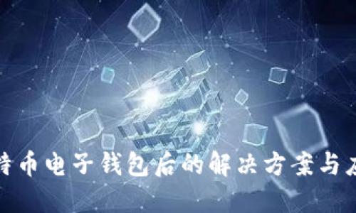 丢失比特币电子钱包后的解决方案与应对措施
