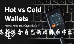 如何选择适合自己的比特币中文钱包？