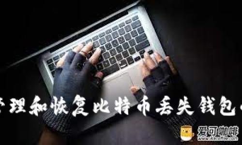 如何有效管理和恢复比特币丢失钱包的经验分享