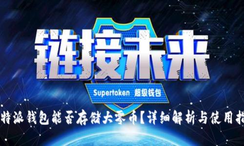 比特派钱包能否存储大零币？详细解析与使用指南