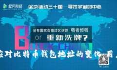 如何应对比特币钱包地址的变化：用户指南