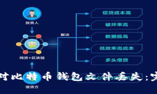 如何应对比特币钱包文件丢失：完整指南