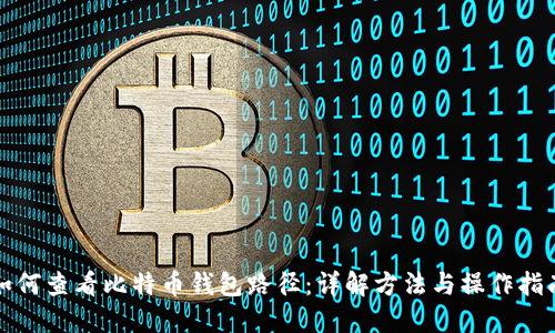 如何查看比特币钱包路径：详解方法与操作指南