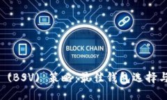 比特币SV (BSV) 策略：最佳钱包选择与使用指南