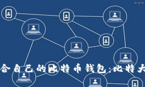 如何选择适合自己的比特币钱包：比特大陆产品推荐