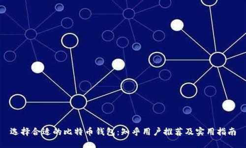 选择合适的比特币钱包：知乎用户推荐及实用指南