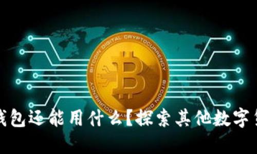 挖矿除了TP钱包还能用什么？探索其他数字货币钱包选择