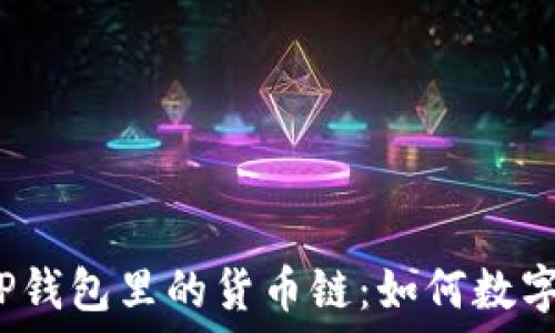  
深入了解TP钱包里的货币链：如何数字资产管理？