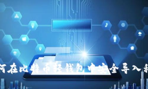 如何在比特币轻钱包中安全导入私钥