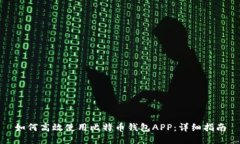 如何高效使用比特币钱包APP：详细指南