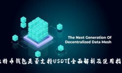 比特币钱包是否支持USDT？全面解析及使用指导